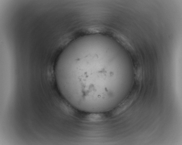 X0000112010418200908101346