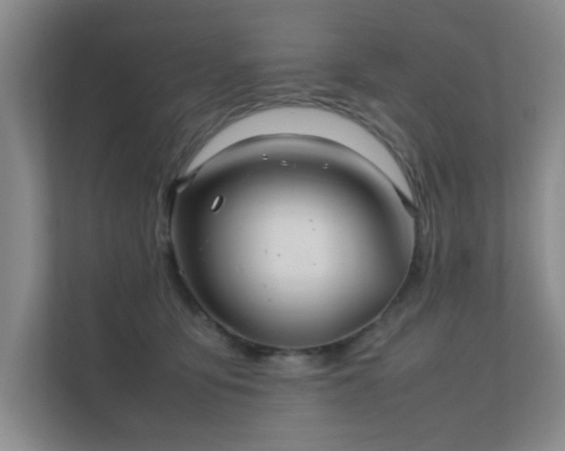 X0000112010419200908101346