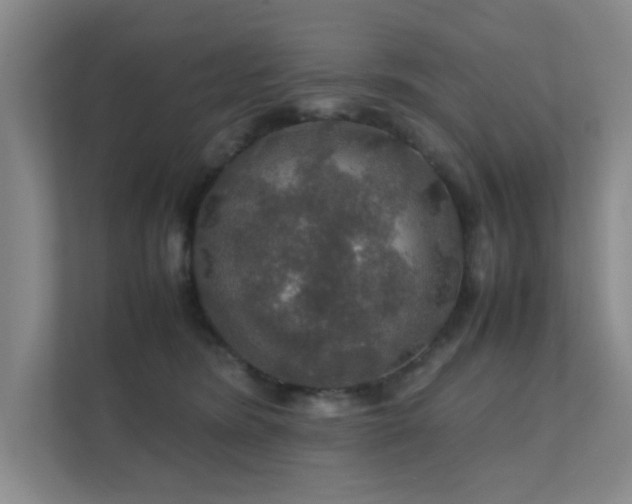 X0000112010420200908101346