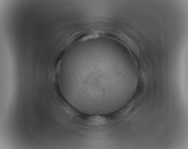 X0000112010421200908101346