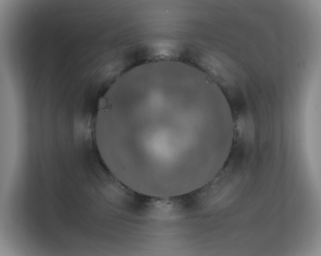 X0000112010423200908101346