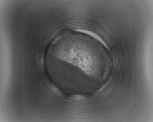 X0000112010424200908101346