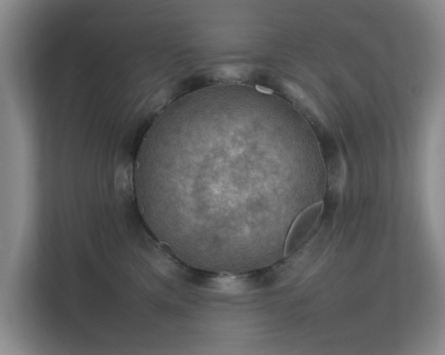 X0000112010425200908101346