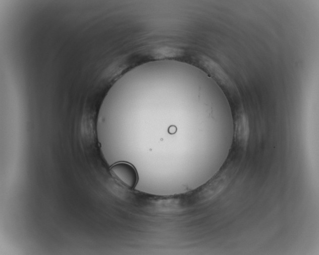 X0000112010426200908101346