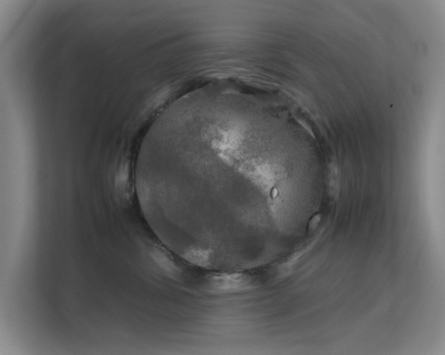 X0000112010428200908101346