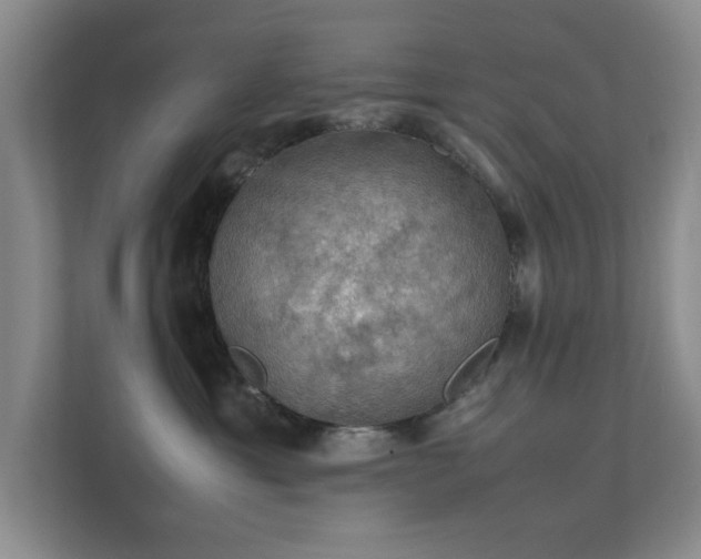 X0000112010429200908101346