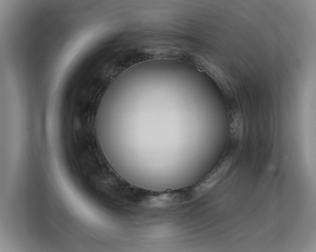 X0000112010430200908101346