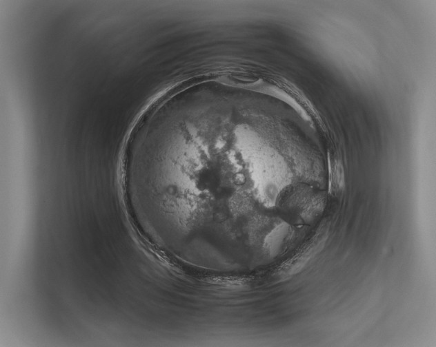 X0000112010435200908101345