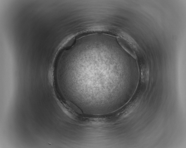 X0000112010436200908101345