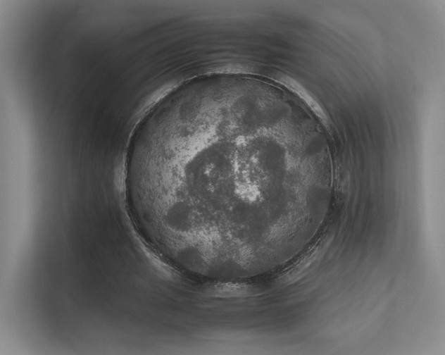 X0000112010437200908101345