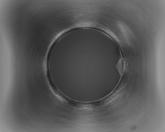 X0000112010438200908101345