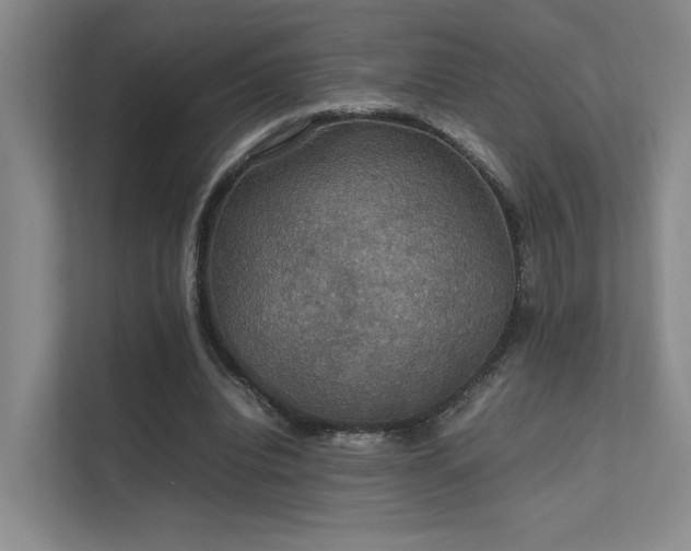 X0000112010440200908101345