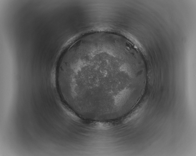 X0000112010442200908101345