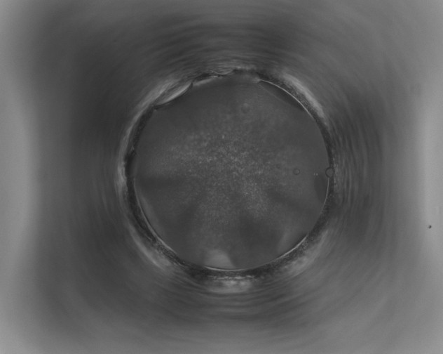 X0000112010443200908101345