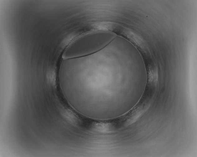 X0000112010444200908101345