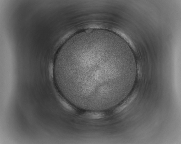 X0000112010445200908101345