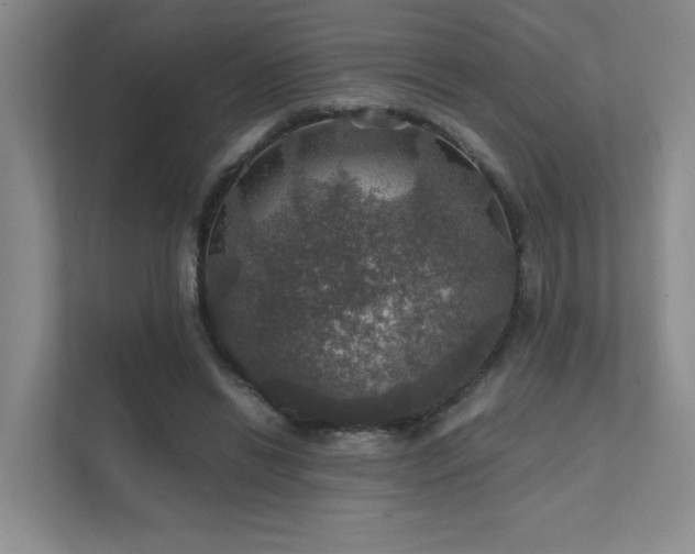 X0000112010446200908101345