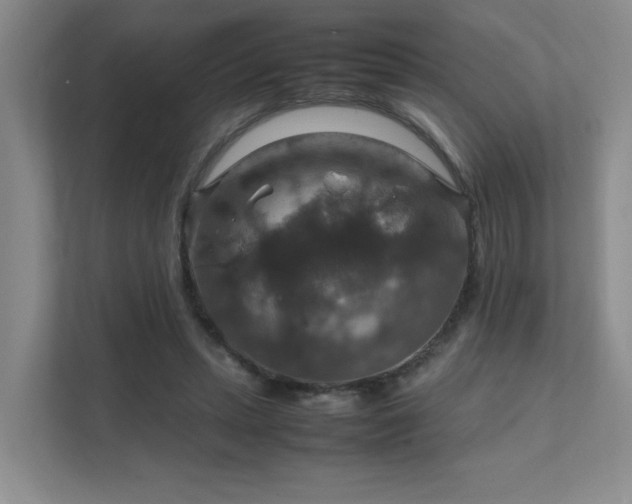 X0000112010447200908101345