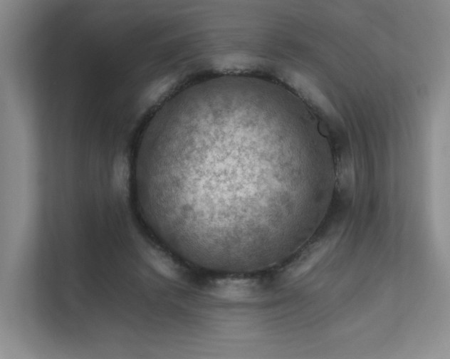 X0000112010448200908101345