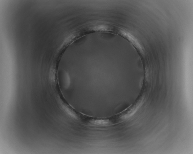 X0000112010449200908101345