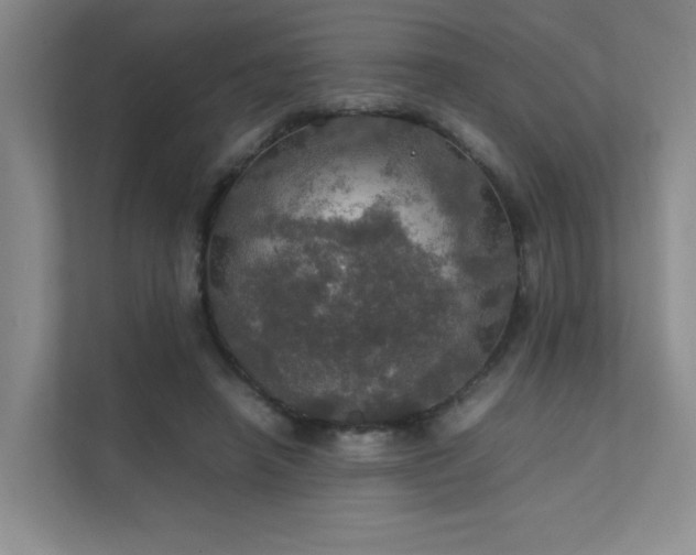 X0000112010450200908101345