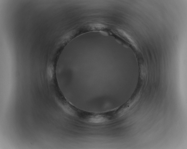 X0000112010451200908101345