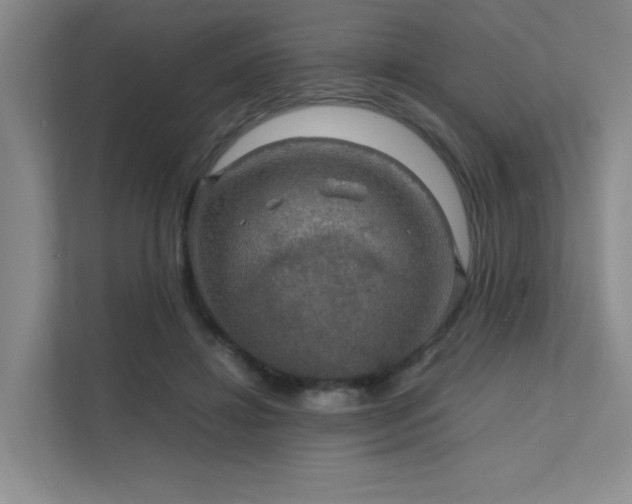 X0000112010452200908101345