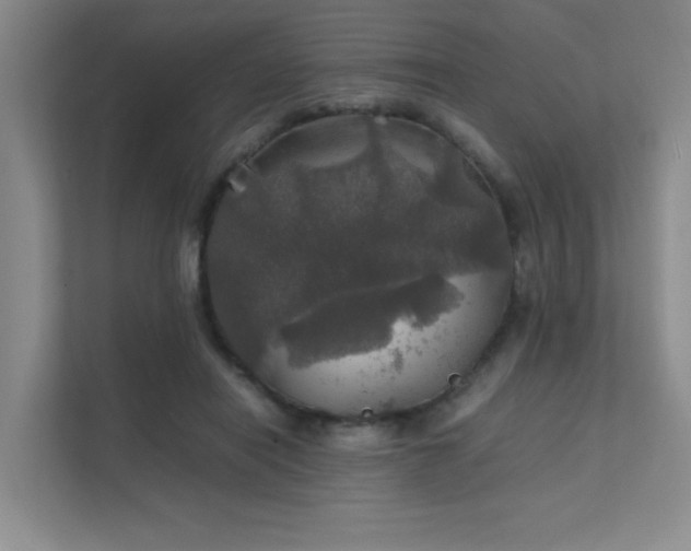 X0000112010454200908101345