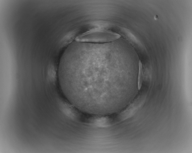 X0000112010456200908101345