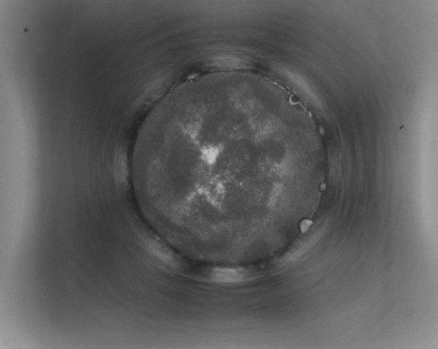 X0000112010457200908101345