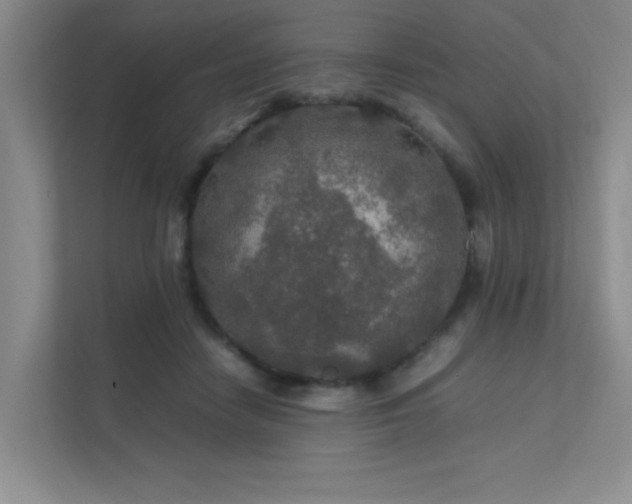 X0000112010458200908101345