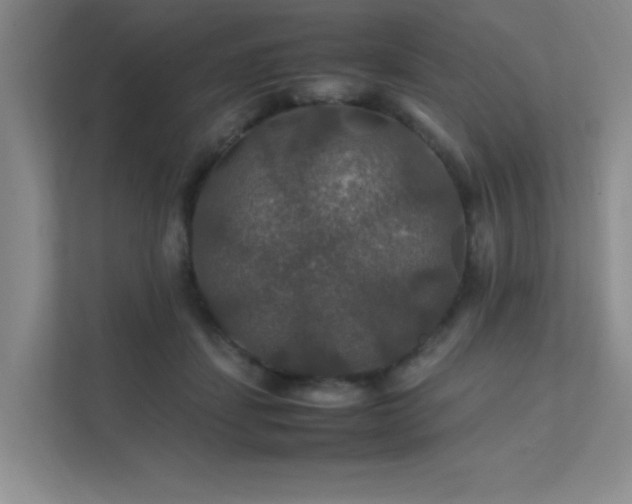 X0000112010459200908101345