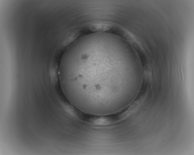 X0000112010460200908101345