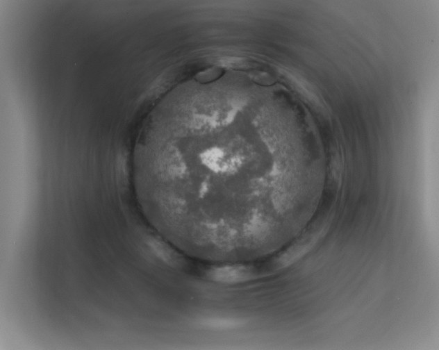 X0000112010461200908101345