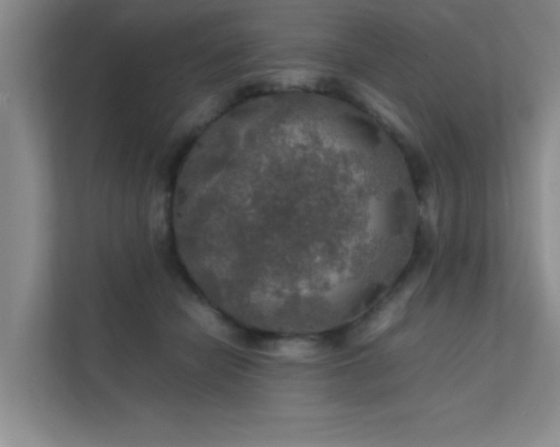 X0000112010462200908101345