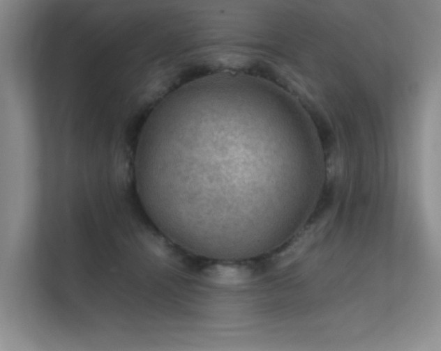 X0000112010464200908101345