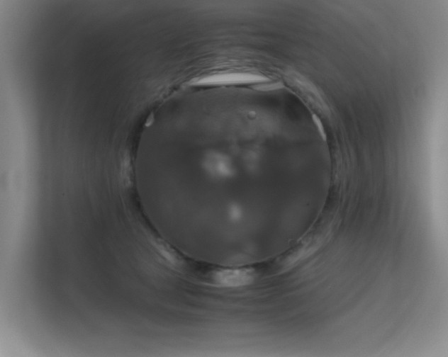 X0000112010465200908101345