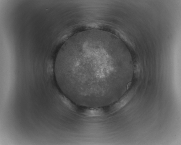 X0000112010466200908101345