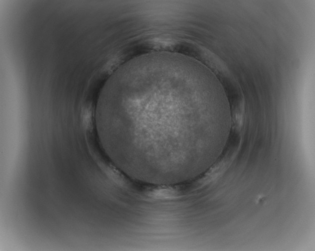 X0000112010468200908101345