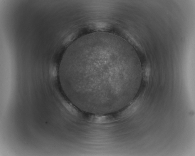 X0000112010472200908101345