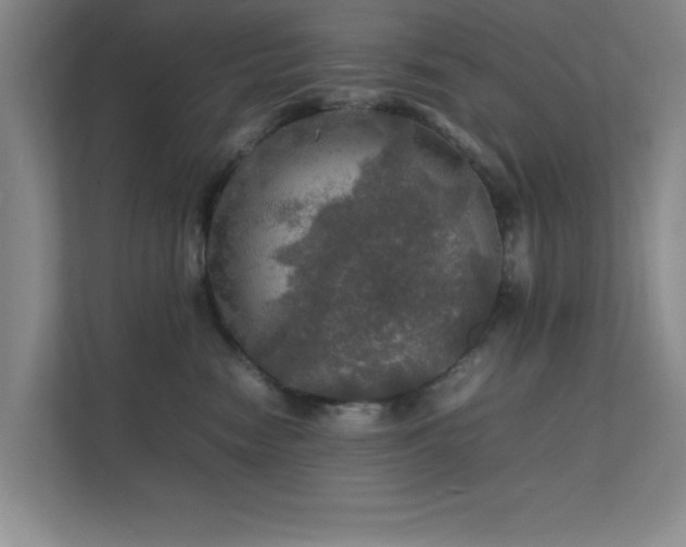 X0000112010474200908101345