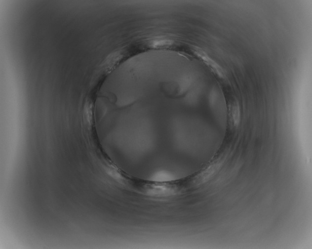 X0000112010475200908101345