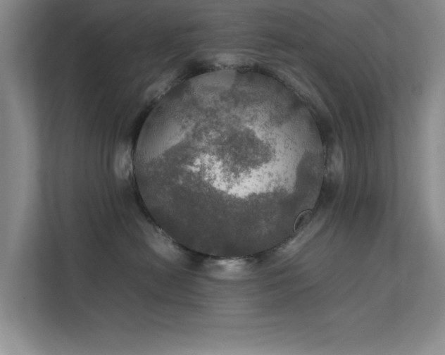 X0000112010478200908101345