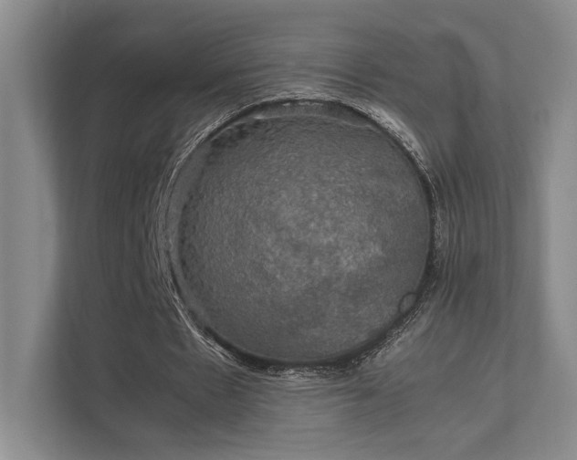 X0000112010481200908101345