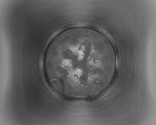 X0000112010483200908101345