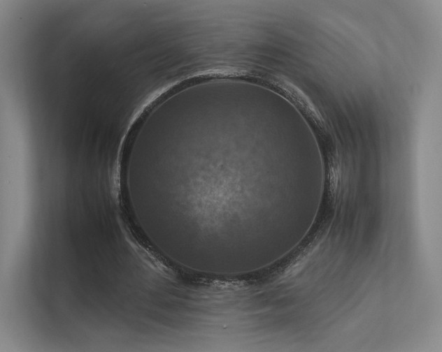 X0000112010484200908101345