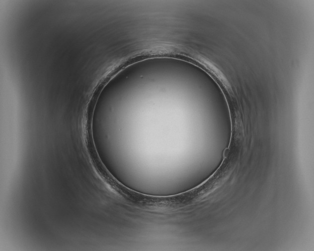 X0000112010485200908101345