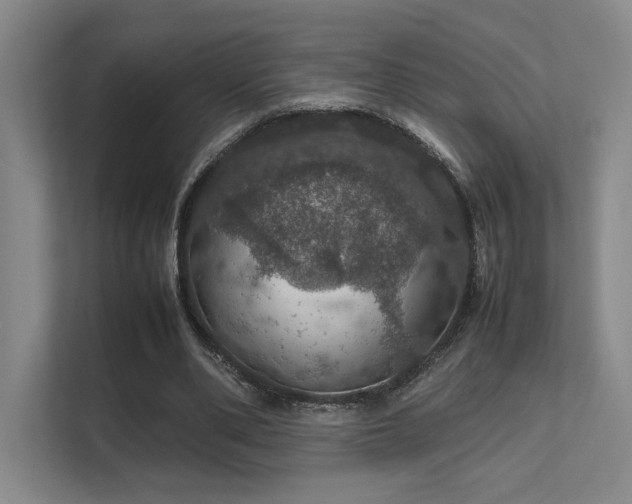 X0000112010486200908101345