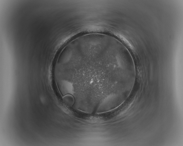 X0000112010487200908101345