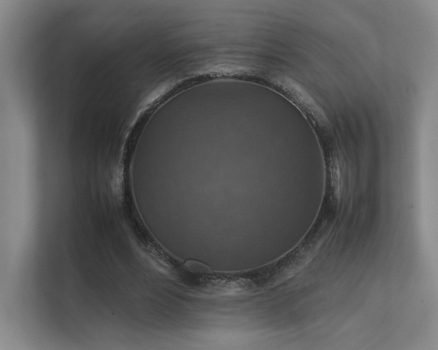 X0000112010488200908101345